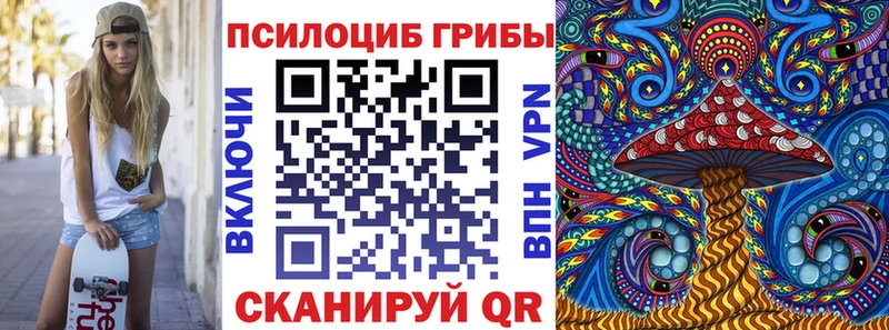 Купить  Высоковск  Галлюциногенные грибы Magic Shrooms 